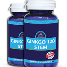 Ginkgo 120Stem - funziona - prezzo - recensioni - opinioni - in farmacia