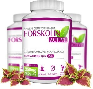 Forskolin Active - forum - opinioni - recensioni